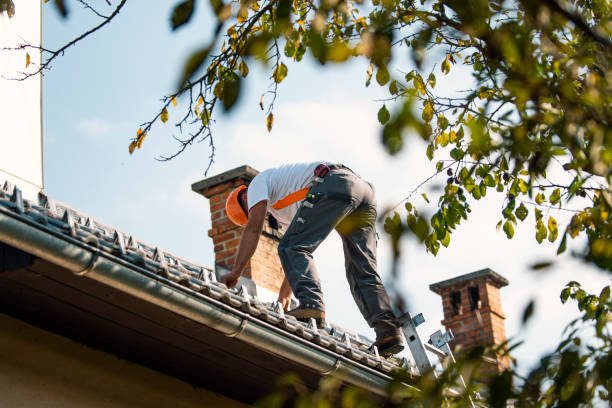 Quick and Trustworthy Emergency Roof Repair Services in Burley, WA