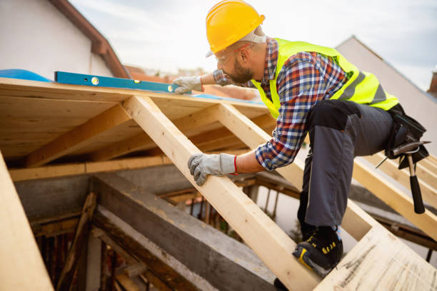 Best Local Roofing Companies  in Burley, WA