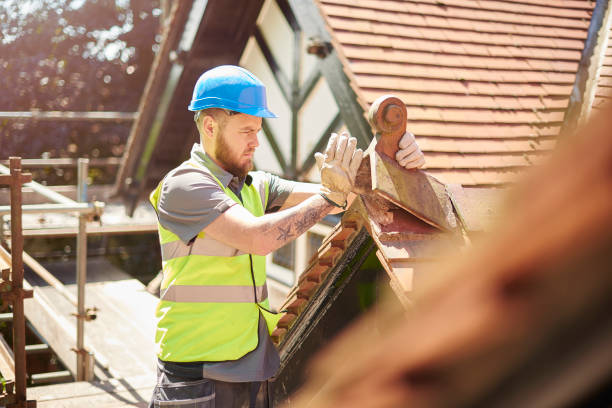 Best Roof Restoration Services  in Burley, WA