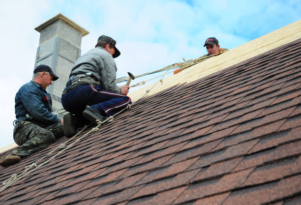 Best Flat Roof Repair Services  in Burley, WA