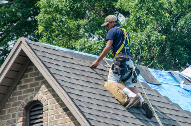 Best Best Roofing Contractors  in Burley, WA